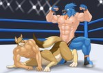 anal anal_penetration animal_mask dominant flexing flexing_bicep human_torso male male/male mask muscular muscular_male penetration taur_penetrated wrestling wrestling_outfit alabuster alberto_(antifreeze) neptune_mereaux avian bird bluebird canid canid_taur canine canine_taur canis coyote coyote_taur eastern_bluebird human mammal mammal_taur oscine passerine taur thrush_(bird) absurd_res hi_res