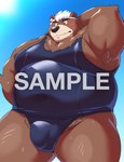 12beat13 accessory anthro bear belly blush bodily_fluids brown_body brown_fur bulge clothing detailed_bulge eyebrows fur genital_outline goro_(live_a_hero) hair headband lifewonders live_a_hero male mammal moobs one-piece_swimsuit overweight overweight_anthro overweight_male penis_outline solo sweat swimwear thick_eyebrows white_hair