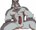 abs anthro biceps fur genitals male muscular muscular_anthro muscular_male nipples nude open_mouth pecs penis simple_background solo ginnosuke canid canine canis mammal wolf 2017 digital_media_(artwork)