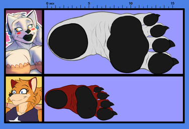 4_toes anthro chart feet female foot_fetish foot_lineup fur grey_body grey_fur humanoid_feet orange_body orange_fur pawpads plantigrade plantigrade_pawpads size_chart toes kattman elena_(da_rakoon) zoe_(da_rakoon) canid canine canis fox mammal wolf hi_res