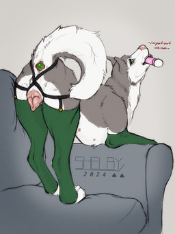anal anal_masturbation anal_penetration animal_genitalia animal_vulva anus ass_up buttplug buttplug_in_ass buttplug_insertion canine_genitalia canine_vulva clothed clothed_feral clothing female female_feral feral fur furniture genitals green_clothing green_legwear grey_background grey_body grey_fur grey_tail legwear looking_at_viewer masturbation nipples object_in_ass partially_clothed penetration pink_nipples pink_nose plug_(sex_toy) plug_insertion plump_labia quadruped sex_toy sex_toy_in_ass sex_toy_insertion simple_background sofa solo tail tail_anus teal_eyes three-quarter_view vibrator vibrator_in_mouth vulva wand_vibrator white_body white_fur white_tail sketchy_shelby shelby_(sketchy_shelby) canid canine mammal hi_res
