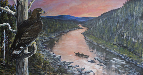 beak biped black_tail brown_body brown_feathers brown_wings canoe claws detailed_background feathered_wings feathers feet feral group multicolored_tail plant river rock sky solo_focus sunset tail tail_feathers talons toe_claws toes tree vehicle watercraft white_body white_feathers white_tail wings tuomas_koivurinne accipitrid accipitriform avian bird eagle golden_eagle true_eagle hi_res traditional_media_(artwork)