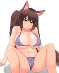 big_breasts bikini blush breasts brown_hair camel_toe cleavage clothed clothing female hair looking_at_viewer nipple_outline simple_background sitting solo spread_legs spreading swimwear two-piece_swimsuit white_background nao_(artist) animal_humanoid humanoid digital_media_(artwork) shaded