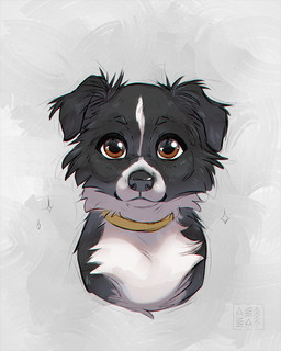 ambiguous_gender black_body black_fur black_nose brown_eyes cheek_tuft collar collar_only facial_tuft feral floppy_ears front_view fur looking_at_viewer nude simple_background smile solo tuft white_body white_fur yellow_collar young azzai border_collie canid canine canis collie domestic_dog herding_dog mammal pastoral_dog sheepdog 2025 4:5 colored colored_sketch digital_drawing_(artwork) digital_media_(artwork) shaded sketch