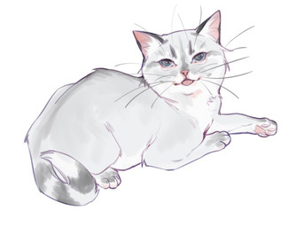 ambiguous_feral ambiguous_gender blep blue_eyes feral fur glistening glistening_eyes grey_body grey_fur inner_ear_fluff looking_at_viewer lying mouth_closed on_front pawpads pink_inner_ear pink_nose pink_pawpads pink_tongue side_view simple_background solo tongue tongue_out tuft whiskers white_background white_body white_fur white_inner_ear_fluff justkiddinb domestic_cat felid feline felis mammal