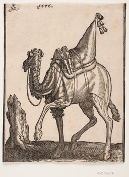 1576 2_toes ambiguous_feral ambiguous_gender bell digitigrade feet feral fur halter leash looking_aside quadruped saddle side_view simple_background solo standing tail tassels toes tree_stump melchior_lorck public_domain camel camelid dromedary mammal 16th_century absurd_res ancient_art dated hatching_(art) hi_res monochrome shaded signature traditional_media_(artwork)