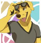 5_fingers anthro brown_eyes clothed clothing eyewear eyewear_on_head fingers front_view fur happy looking_aside male open_mouth open_smile shirt smile solo sunglasses sunglasses_on_head t-shirt teeth tongue tongue_out topwear yellow_body yellow_fur ifus bojack_horseman netflix mr._peanutbutter canid canine canis domestic_dog mammal 2018 cel_shading colored_sketch digital_drawing_(artwork) digital_media_(artwork) half-length_portrait portrait shaded sketch