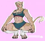 anthro bottomwear breasts cheerleader_outfit claws clothing crouching digitigrade female fur multi_nipple nipples skirt solo species_transformation tail tail_tuft tan_body tan_fur torn_clothing transformation tuft wardrobe_malfunction petplayer976 january felid lion mammal pantherine were werefelid werelion werepantherine