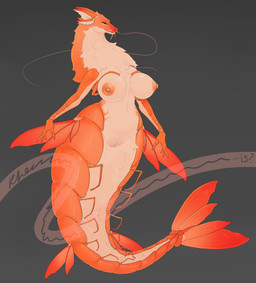 anthro apode areola bedroom_eyes big_breasts breasts female fur genitals grey_background huge_breasts legless narrowed_eyes naughty_face nipples nude orange_areola orange_arms orange_body orange_nipples orange_tail pose seductive simple_background solo split_form tail vulva khemmmis mythology aquatic arthropod crustacean dragon eastern_dragon hybrid merfolk mythological_creature mythological_scalie scalie shrimp absurd_res digital_media_(artwork) full-length_portrait hi_res portrait