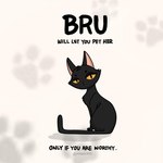 black_body black_fur female feral fur hair looking_at_viewer simple_background solo tail text white_background kashicats bru_(kashicats) domestic_cat felid feline felis mammal 1:1 digital_media_(artwork) english_text