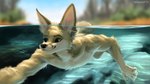 5_fingers anthro blue_eyes blurred_background detailed_background ear_piercing fingers fur heterochromia male nude outside partially_submerged piercing solo swimming yellow_eyes geewolf canid canine fennec_fox fox mammal true_fox 16:9 2021 hi_res widescreen