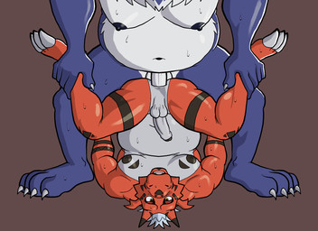 anal anthro balls belly blue_body blue_fur bodily_fluids duo erection fur genitals horn male male/male male_penetrated male_penetrating male_penetrating_male moobs navel nipples nude penetration penis piledriver_position red_body sex sweat hunter-husky bandai_namco digimon digimon_(species) grizzlymon growlmon scalie animated hi_res