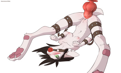 anal animal_dildo animal_sex_toy anthro arms_tied ball_gag bdsm blush bondage bound canine_dildo cuff_(restraint) dildo female gag genitals harness legs_tied lube lube_in_ass lying on_back pawpads restraints sex_toy solo spread_legs spreading upside_down vulva pintino katy_(werevixen) mammal murid murine rat rodent absurd_res hi_res