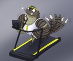 4_toes accessory anisodactyl athletic_wear avian avian_feet beak bird bodily_fluids brown_body brown_eyes brown_feathers caprimulgiform claws clothed clothed_feral clothing digital_media_(artwork) european_nightjar exercise feathered_tail feathers feet feral full-length_portrait grey_background head_tuft headband hi_res jogging male motion_lines multicolored_body multicolored_feathers neville_nightglider nightjar portrait puffed_cheeks running sallylla shirt simple_background solo sport sportswear steam steamy_breath striped_body striped_feathers stripes sweat tail tan_body tan_feathers tank_top toe_claws toes topwear treadmill tuft wide_eyed wings workout