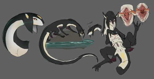 black_body bodily_fluids claws clitoris close-up ears_up female feral genital_fluids genital_focus genitals grey_background long_tail lying multicolored_body on_back presenting presenting_vulva quadruped raised_leg red_eyes rock simple_background slim solo spread_legs spread_vulva spreading tail tailbutt vaginal_fluids vulva vulva_focus water white_body shebeast mythology aquatic aquatic_dragon dragon mythological_creature mythological_scalie scalie slitherin 2024 colored digital_drawing_(artwork) digital_media_(artwork) hi_res sketch