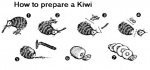 ambiguous_gender cooking diagram food fruit gore humor kiwifruit parody plant preparation pun shaving solo visual_pun what unknown_artist avian bird kiwi_(bird) ratite black_and_white low_res monochrome pen_(artwork) sequence traditional_media_(artwork)