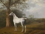 ambiguous_gender black_body black_fur brown_body brown_fur building butt cloud day feral fur grass group hooves house landscape mouth_closed outside plant short_tail snout solo_focus standing tail tree walking white_body white_fur jacques-laurent_agasse equid equine horse mammal 1806 19th_century ancient_art formal_art hi_res painting_(artwork) shaded soft_shading traditional_painting_(artwork)