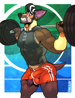 5_fingers abs accident accidental_exposure anthro balls_outline barbell biceps biped black_hair blush bodily_fluids bottomwear brown_body brown_fur brown_nose brown_tail bulge butt clothed clothing detailed_bulge dripping ear_piercing embarrassed erection exercise eyebrows facial_hair fingers flying_sweatdrops foreskin fur genital_fluids genital_outline genitals glans goatee grey_clothing grey_topwear hair humanoid_genitalia humanoid_penis male multicolored_body multicolored_clothing multicolored_fur multicolored_hair muscular muscular_anthro muscular_male nipples pecs penis penis_poking_out penis_through_leghole piercing pink_glans precum purple_eyes purple_penis red_bottomwear red_clothing shirt shorts sideburns simple_background solo standing sweat sweatdrop tail tan_body tan_fur tank_top teeth text tight_clothing topwear tuft vein veiny_penis wardrobe_malfunction weightlifting weights white_hair workout yellow_body yellow_fur kihu canid canine canis chihuahua domestic_dog mammal toy_dog 2016 url