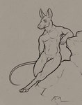 anthro arm_support claws eyebrows front_view genitals hand_behind inner_ear_fluff leaning_on_elbow male pecs penis pose realistic_anatomy relaxing solo thin_tail toe_claws tuft whiskers malcombtheteadragon mammal mouse murid murine rodent hi_res line_art pinup