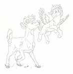 animal_genitalia antlers balls casual_nudity duo feathered_wings feathers feral fluffy fully_sheathed genitals hooves horn male sheath wings skyfifer hasbro my_little_pony mythology deer equid equine horse mammal mythological_creature mythological_equine pegasus pony absurd_res hi_res traditional_media_(artwork)