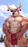 2020 abs absurd_res anthro antlers barazoku biceps blue_eyes body_hair bottomwear brown_body brown_fur bulge candy cane christmas christmas_ornament clothed clothing deer dessert evergreen_tree facial_hair food food_in_mouth front_view fur happy_trail hi_res holidays horn loincloth looking_at_viewer male mammal multicolored_body multicolored_fur muscular muscular_anthro muscular_male neck_tuft new_world_deer nipples open_mouth outside pecs pine_tree pinup plant portrait pose quads raytig12 red_bottomwear red_clothing red_loincloth reindeer skimpy sky snow solo standing teeth three-quarter_portrait tree triceps tuft two_tone_body two_tone_fur white_body white_fur