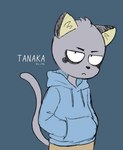 anthro blue_clothing blue_hoodie blue_topwear bottomwear clothing fur grey_body grey_fur half-closed_eyes hands_in_both_pockets hoodie looking_at_viewer male narrowed_eyes pants serious simple_background solo tail topwear by_z7my odd_taxi hajime_tanaka_(odd_taxi) domestic_cat felid feline felis mammal 2022 hi_res japanese_description