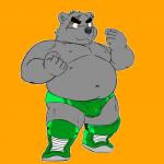 anthro boots briefs bulge clothed clothing footwear fur green_boots green_briefs green_clothing green_footwear green_underwear grey_body grey_fur male navel nipples overweight overweight_anthro overweight_male shoes simple_background solo topless underwear wrestling_briefs shiba-kenta daigo_kumano bear mammal 1:1