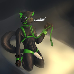 anthro bdsm bondage bound erection foreskin genitals harness humanoid_genitalia humanoid_penis leash male muzzle_(object) muzzled partially_retracted_foreskin penis solo submissive submissive_male whimper bunnylace bearpaw canid canine mammal 1:1 hi_res