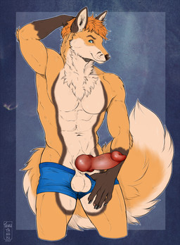 abs animal_genitalia animal_penis anthro balls big_penis blue_boxer_briefs blue_clothing blue_eyes blue_underwear bottomwear bottomwear_down boxer_briefs boxer_briefs_only canine_genitalia canine_penis chest_tuft clothed clothing countershade_balls countershade_crotch countershade_face countershade_genitalia countershade_tail countershade_torso countershading erection fluffy fluffy_tail genitals hand_behind_head knot male male_anthro muscular muscular_anthro muscular_male neck_tuft partially_clothed pecs penis penis_poking_out simple_background smile solo standing tail topless topless_anthro topless_male tuft underwear underwear_down underwear_only tanutanuki furregan_p._fox_(character) canid canine canis fox hybrid mammal red_fox true_fox wolf 2025 hi_res