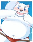 anthro belly big_belly blue_eyes blush clothing humanoid_hands kemono male moobs navel nipples overweight overweight_male solo underwear udontarai utau shirane_kan bear mammal polar_bear ursine 2022 absurd_res hi_res