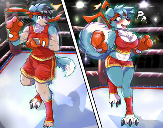 abs anthro big_breasts biped black_hair black_nose blue_body blue_eyes blue_fur blush body_part_growth bottomwear boxing_gloves breast_growth breasts chest_tuft claws cleavage clothed clothing confusion crossgender embarrassed expansion female fighting_ring floppy_ears fluffy fluffy_tail fur fur_growth gender_transformation growth hair handwear hip_expansion human_to_anthro kerchief male mid_transformation motion_lines mtf_transformation muscular muscular_female muscular_male navel open_mouth pale_skin paws plantigrade_to_digitigrade shadow shirt shorts shrinking size_transformation snout snout_growth solo species_transformation tail tail_growth tank_top teeth thigh_expansion tongue topwear transformation tuft white_body white_fur wide_hips yellow_eyes ravieel bandai_namco digimon digimon_(species) gaomon human humanoid mammal hi_res