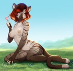 anthro candy claws dessert female field food fur grass grey_body grey_fur hair lollipop looking_at_viewer nude orange_hair outdoor_nudity outside plant sitting sky smile solo striped_body striped_fur stripes annya domestic_cat felid feline felis mammal