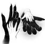 anthro black_body black_fur claws disembodied_hand fur hand_focus on_blanket simple_background size_difference touching_hand white_background white_body white_fur simple_nicks mythology canid canine canis domestic_dog mammal mythological_canine mythological_creature werecanid werecanine werecreature werewolf monochrome