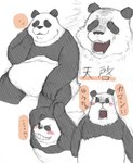 anthro belly big_belly black_body black_nose blush kemono multiple_poses overweight pose sitting solo surprise text white_body snow_utamaru jujutsu_kaisen panda_(jujutsu_kaisen) bear giant_panda mammal 2022 hi_res japanese_text