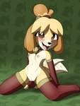 anthro bell bell_collar blush blush_lines breasts clothing collar female fingerless_gloves fur genitals gloves hair handwear kneeling leaning leaning_backward legwear lingerie looking_at_viewer mostly_nude nipples open_mouth pussy small_breasts smile solo stockings tail tail_motion tailwag yellow_body yellow_fur xypherdraws animal_crossing nintendo isabelle_(animal_crossing) canid canine canis domestic_dog mammal shih_tzu toy_dog 3:4 digital_media_(artwork) hi_res