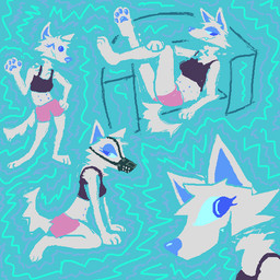 anthro belly_nipples blue_background blue_eyes bottomwear cheek_tuft clothing crop_top facial_tuft female fur grey_body grey_fur kneeling multiple_angles muzzle_(object) muzzled one_eye_closed open_mouth open_smile pink_bottomwear pink_clothing pink_shorts purple_clothing purple_crop_top purple_shirt purple_topwear shirt shorts simple_background smile solo topwear tuft wink demensa canid canine canis domestic_dog mammal 1:1 2025 hi_res