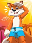 anthro beach blue_clothing blue_eyes bottomwear clothing fur male orange_body orange_fur palm_tree plant seaside shorts solo swimming_trunks swimwear tree young young_anthro young_male sagadreams lucky's_tale_(series) lucky_swiftail canid canine fox mammal 3:4 hi_res