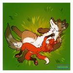 anthro backsack balls border claws cuddling duo female feral fluffy genitals grass hug larger_female lying male on_back paws plant size_difference smaller_male text toe_claws white_border pornography_(artist) d_kenmason canid canine canis fox mammal red_fox true_fox wolf 1:1 hi_res url