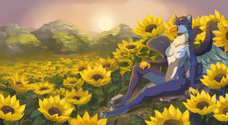 4_toes 5_fingers anthro barefoot beak day detailed_background feet female fingers outside sky sun toes yellow_eyes antanariva mythology avian gryphon mythological_avian mythological_creature 2018 digital_media_(artwork)
