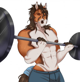 5_fingers abs amber_eyes anthro bodily_fluids bottomwear brown_hair brown_mane brown_tail clothed clothing exercise eyebrows fingers hair looking_at_viewer male mane multicolored_body nipples shorts simple_background solo standing sweat tail tail_wraps topless topless_male two_tone_body weightlifting workout wraps atroquine andrew_(wasen) equid equine horse mammal 2023 digital_media_(artwork) hi_res