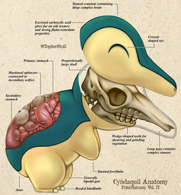 ^_^ ambiguous_gender anatomy biped bone countershade_face countershade_neck countershade_torso countershading cross_section eyes_closed feral mouth_closed multicolored_body organs side_view skull smile snout solo stomach tan_body tan_countershading teal_body teeth text twitter_handle two_tone_body christopher_stoll nintendo pokemon pokenatomy cyndaquil generation_2_pokemon pokemon_(species) 2022 biological_illustration copyright_name digital_drawing_(artwork) digital_media_(artwork) english_text exploded-view_drawing full-length_portrait hi_res portrait species_name technical_illustration