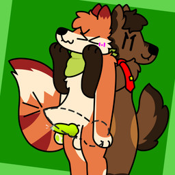 abdominal_bulge accessory anal anal_penetration anthro big_penis big_tail blush bodily_fluids brown_body brown_fur duo fur genital_fluids genitals kerchief knot knotted_penis knotting male male/male necktie orange_body orange_fur paws penetration penis precum sex tail doug_polaris axel_bridges dougpolaris canid canine canis fox mammal maned_wolf wolf 1:1 absurd_res hi_res