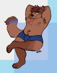 anthro armpit_hair biceps biped blue_clothing blue_eyes blue_underwear body_hair brown_hair brown_nose claws clothed clothing crossed_legs digitigrade ear_piercing fur hair hands_behind_head looking_at_viewer male navel nipples one_eye_closed piercing simple_background sitting slightly_chubby slightly_chubby_anthro slightly_chubby_male smile solo tail tan_body tan_fur tan_tail text triceps underwear underwear_only wink spyz_(artist) spyz_(character) canid canine canis domestic_dog mammal 2023 artist_name digital_drawing_(artwork) digital_media_(artwork) flat_colors hi_res signature