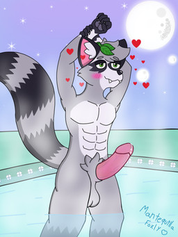 anthro bathing big_penis genitals humanoid_genitalia humanoid_penis male night nude penis solo termal_bath mantequilla_foxly greenfyx mammal procyonid raccoon 3:4 absurd_res hi_res