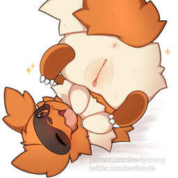 anus blush bodily_fluids claws female feral fur genitals heart_eyes heart_symbol multicolored_body multicolored_fur one_eye_closed open_mouth saliva simple_background solo sparkles text tongue tongue_out two_tone_body two_tone_fur vulva white_background seviyummy nintendo pokemon generation_3_pokemon pokemon_(species) zigzagoon 1:1 2024 digital_media_(artwork) hi_res url