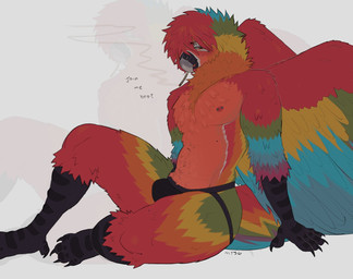 anthro beak blunt bulge clothed clothing drugs eyebrow_piercing facial_piercing feathered_wings feathers jockstrap jockstrap_only male marijuana multicolored_body multicolored_feathers multicolored_tail nipple_piercing nipples non-mammal_nipples piercing rainbow_body rainbow_feathers rainbow_tail red_body red_feathers scuted_arms scuted_legs scutes shirtless_anthro shirtless_male smoking smoking_marijuana solo tail topless underwear underwear_only wings wobbybones avian bird macaw neotropical_parrot parrot true_parrot
