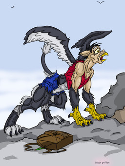 anthro backpack beak belt bottomwear claws clothing feathered_wings feathers feral footwear fur grey_body grey_feathers grey_fur human_to_feral legwear male muscular muscular_anthro muscular_male pants paws shirt socks solo species_transformation tail topwear transformation wings black-rat mythology avian gryphon mythological_avian mythological_creature 3:4
