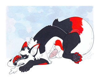 anatomically_correct anatomically_correct_genitalia anatomically_correct_penis arm_tuft aroused balls big_tail black_body black_nose black_pawpads blue_eyes border breath cheek_tuft claws clenched_teeth countershade_face countershade_torso countershading elbow_tuft facial_tuft feral fur genitals hand_on_face head_tuft inner_ear_fluff knee_tuft leg_tuft markings pawpads paws penis plushie pubes red_markings red_pubes seam_(sewing) simple_background solo tail teeth textured_background tuft white_body white_border blightmarks gutmutt animate_inanimate canid canine living_plushie mammal 2026 colored_sketch digital_drawing_(artwork) digital_media_(artwork) hi_res signature sketch