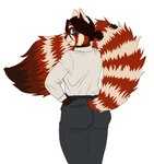 anthro belt big_tail black_bottomwear black_clothing black_hair black_pants blue_eyes bottomwear brown_body brown_fur butt cheek_tuft claws clothing ears_up facial_tuft femboy fluffy fluffy_tail fur hair hand_on_hip huge_tail male markings pants ponytail red_body red_fur shirt short_hair smile solo striped_markings striped_tail stripes tail tail_grab tail_markings topwear tuft white_body white_clothing white_fur white_shirt white_topwear gummyfishowo mitya_(mitrotsky) ailurid mammal red_panda 2023 hi_res