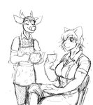 anthro apron beverage chair clothed clothing container cup duo female furniture male serving simple_background sitting smile standing tea tea_cup teapot hladilnik cat_knight deer_prince deer domestic_cat felid feline felis mammal 2021 comic hi_res monochrome sketch